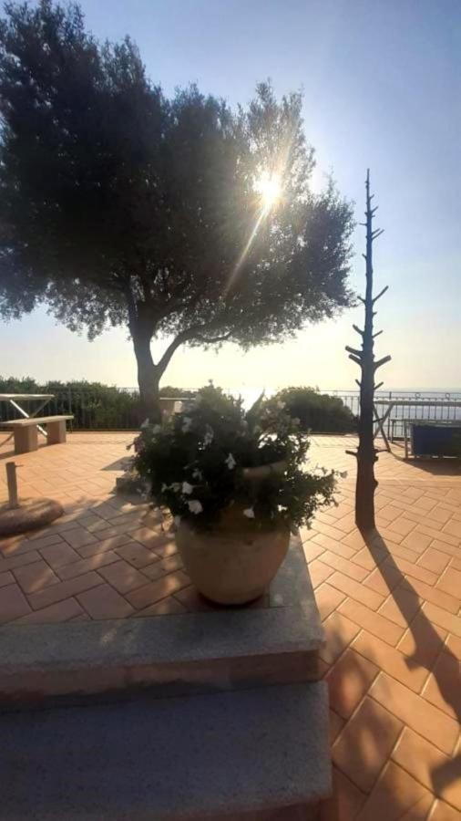 Hotel Turismo Rurale Villa Maria Caterina Cala Gonone Exterior foto