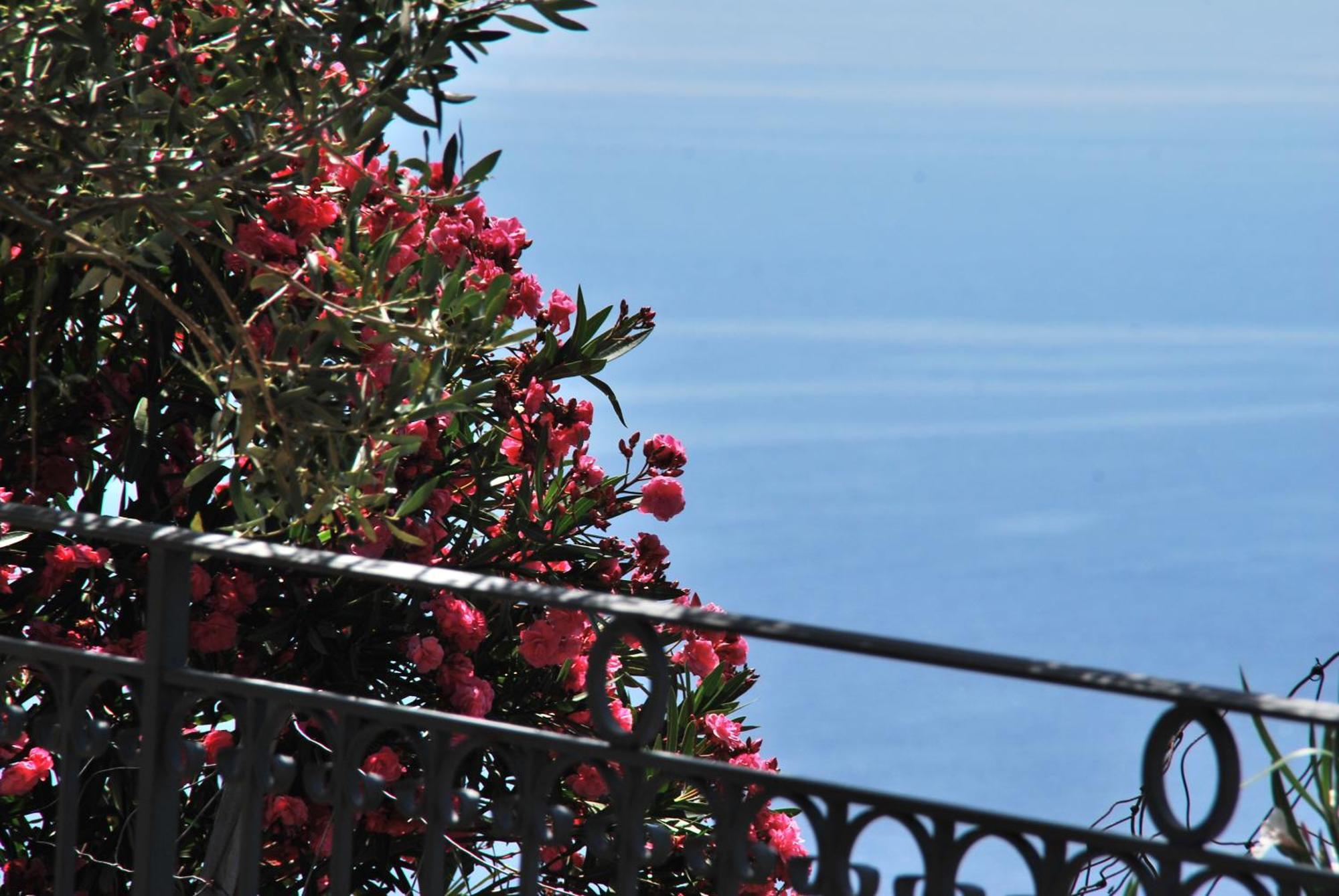 Hotel Turismo Rurale Villa Maria Caterina Cala Gonone Exterior foto